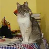 Отзыв от Эльмира Васильева